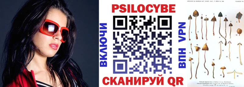 Галлюциногенные грибы GOLDEN TEACHER  OMG маркетплейс  Каменногорск 