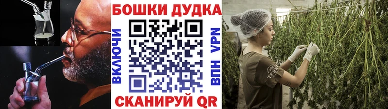 Шишки марихуана Amnesia  mega рабочий сайт  Каменногорск 